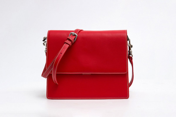 Ảnh Túi Cross body quai to bản